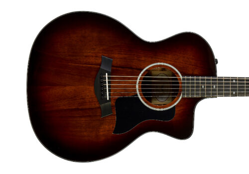 Taylor 224ce-K DLX in Shaded Edgeburst with a Gloss finish.